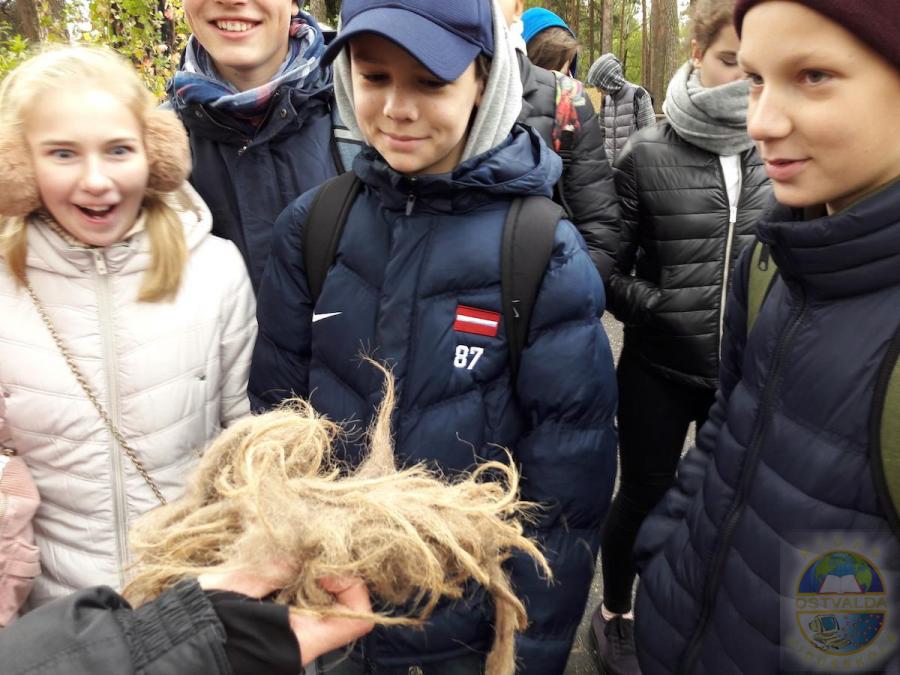 28.09.2018 7.b klases ZOO piedzīvojumi