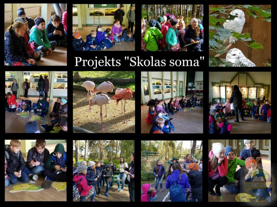 Projekta “Skolas soma” ietvaros 2018. g. 27. septembrī 5.d klasei bija iespēja apmeklēt Rīgas Nacionālo zooloģisko dārzu