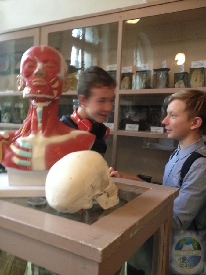 Karjeras nedēļas veiksmes stāsti - 9.a klase apmeklēja RSU Anatomijas muzeju