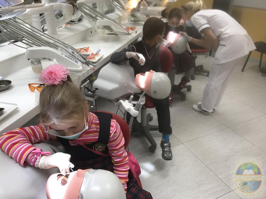 Karjeras nedēļas veiksmes stāsti - 1.d klases ekskursija uz stomatoloģijas institūtu un Stradiņa Medicīnas Universitāti. Iepazīšanās ar ārsta stomatologa profesiju.